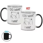 I Do What I Want Heat Sensitive Hot Cold Color Changing 350ml Coffee Tea Milk Mug Novelty S
