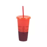 473ml/700ml/710ml Color Changing Coffee Cup With Lid With Logo Straw Reusable Cups Plastic Tumbler Matte Finish Plastic Cup
