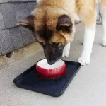 3PCS Multifunctional Foyer Plant Duty Shoe Plate Hall Washable Bots Outdoor Home Plastic Stray Trays Flower Pots Garden Tool