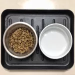 Shoe Drip Tays - Multi -Purppose Boot Tray for Rain Booots Wins Wellles