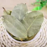 Kinds Of Spicy Clove Fennel Thyme Chili Star Anise Cumin Bay Leaves ... 100g 500g