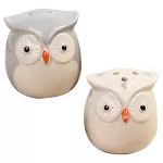 2PCS Seasoning Container Set Cute Ceramic Starfish Shell Owl Fish Spice Shaker Spicer Spicer Kitchen Gadget Spices Container
