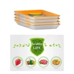 Food Preservation Tray Reusable Plastic Keeping Fresh Spainer Refrigerator Microwave Kitchen Food Storage Plates