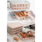 Big 24 Grids Refrigerator Egg Storage Box Case Holder Food Storage Container