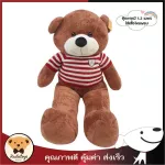 Teddy bear wearing a 1.2 meter jumbo shirt (chocolate color)