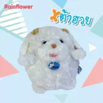 Size M. Round Tofu Dog (No fragrance) Rainflower brand
