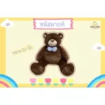 Smart Teddy Bear Size K 25 inch size Chicchic without nano smell