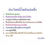 Compact Water Purifier