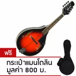 PARAMOUNT Mandolin Model MA001VS Sunburrs - Free Mandolin Bag