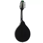 Paramount แมนโดลิน รุ่น MA001VS สีซันเบิร์ส - Mandolin