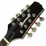 Paramount แมนโดลินไฟฟ้า รุ่น MA005VS - Electric Mandolin