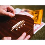 ERNIE BALL® Ukulele String สายอูคูเลเล่ แบบไนลอนดำ ปลายสายหัวกลม รุ่น P02326 ** Made in USA **