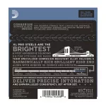 D'Addario® สายกีตาร์ไฟฟ้า เบอร์ 10 วัสดุโลหะอัลลอยด์ ของแท้ 100% รุ่น EPS510 Regular Light,10-46 ** Made in USA **