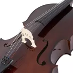 Fitness Cello เซลโล่ 4/4 ไม้อีโบนี่ รุ่น MC760E + แถมฟรีกระเป๋า & คันชัก & ยางสน