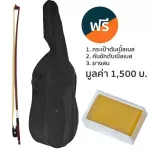 Fitness Double Bass ดับเบิ้ลเบส 4/4 ไม้โรสวู้ด รุ่น MB040R + แถมฟรีกระเป๋า & คันชัก & ยางสน