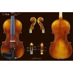 Career piano, violin, STV-600, ancient version of Cao (Scott Joe Violin