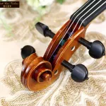 STV-750E CREMONESE 1715 QJ 20200062 Professional Violin (Scott Joeo Lin