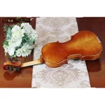 STV-750E CREMONESE 1715 QJ 20200062 Professional Violin (Scott Joeo Lin