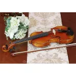 STV-750E CREMONESE 1715 QJ 20200062 Professional Violin (Scott Joeo Lin