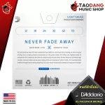 [USAแท้100%] [ส่งฟรี เมื่อซื้อ 3 ชุด] สายกีต้าร์โปร่ง เคลือบกันสนิม D'Addario XSAPB XS Phosphor Bronze เต่าแดง