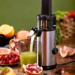 Bear, squeezed fruit juice, portable fruit juice, automatic scale, water, frying, fried, fried fruit and vegetables.