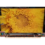 Panasonic65 inch GX650T Normal 29990 B. Ultral Heechi 4K Digitol Smart Smart TV IPS Resistant to Panal Wifi Internet LAN LAN Warranty 3 years 8 pixels HDR10
