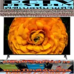 LG32 inch 32LM5500BPTA. Normal 18990 B. Can support the TV list on HDD. TIMEMACHINEREDY Digital Digital HD Smart LAN Bui In Wifi 3 -year Warranty IPS