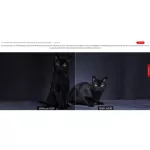 TCL32 inch S65A Smart HD Digital Android. 60Hz speed response. Use your smartphone to control the latest TV movies or dramas on TV.