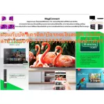 TCL65 inch P8 with AI operations with Ultra4K sound tvhd. Normal 29,995, then buy and have no replacement in all cases. New products guaranteed by TCL TV UHD LED (65 ", 4K, Andro