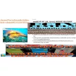 HISENSE85 inch A7500F Normal 99990 Baht WER3.0Os Fullinput TV TV TV Weather+LAN DigitalsmartultralHDTV4K8.1 million HDR10