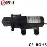 48V60W3210 Electric Diaphragm Pump Mini DC Car Wash Pump Smart Wash Pump Pressure Switch Type Killing Pump