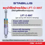 Stabilus Germany, the back shock absorber, Chevrolet Captiva C100, 2007-2011, 1 pair 386502. [Authentic car]