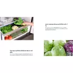 Electrolux, Refrigerator 15.2 Q 2 Gate, ETB4600BA, Nutrifreshinverter Inverter, Energy Savings, Cooling 360Cooling, Maintain Freshness