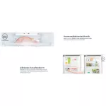 Electrolux, Refrigerator 15.2 Q 2 Gate, ETB4600BA, Nutrifreshinverter Inverter, Energy Savings, Cooling 360Cooling, Maintain Freshness