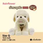 Dog Doll Nano Nila, Vanilla model 2022 Rainflower
