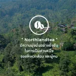 กาแฟอาราบิก้าสด คั่วบดอ่อน USDA ORGANIC 250g - Single Origin - มาตรฐานออร์แกนิคระดับโลกได้รับรองจาก สหรัฐอเมริกา