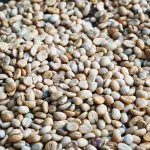 Arabica coffee beans in the middle A2