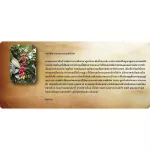 Cafe R'ONN Arabica 100% Bag 250 grams