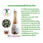 ชามะละกอผสมหล่อฮั่งก๊วยเฉาก๊วย จำนวน 6 ขวด ดูแลระบบขับถ่าย ล้างไขมัน ดีท๊อกซ์ลำไส้ ดูแลสุขภาพร่างกาย ดื่มได้ทุกวัน ได้มาตรฐาน GMP ผ่านการรับรองจาก อย.