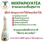 ชามะละกอผสมหล่อฮั่งก๊วยเฉาก๊วย จำนวน 6 ขวด ดูแลระบบขับถ่าย ล้างไขมัน ดีท๊อกซ์ลำไส้ ดูแลสุขภาพร่างกาย ดื่มได้ทุกวัน ได้มาตรฐาน GMP ผ่านการรับรองจาก อย.