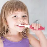 Marcus & Marcus Reusable Toddler Toothbrush.