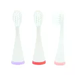 Marcus & Marcus Replacement  ToothBrush Heads