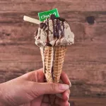 CHADO Hojicha Pure ชาโดะผงชาเขียวคั่วโฮจิฉะ 100% จากญี่ปุ่น ขนาด 100 กรัม