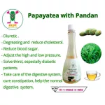 ชามะละกอผสมใบเตย 6 ขวด ผลิตจากสมุนไพรธรรมชาติ ดูแลระบบขับถ่าย ล้างไขมัน ดีท๊อกซ์ลำไส้ ขับปัสสาวะ ดูแลสุขภาพร่างกาย ได้มาตรฐาน GMP ผ่านการรับรองจาก อย.