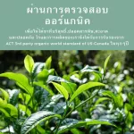 USDA black tea, 500 grams of organic, drove fat, helping to burn, reduce cholesterol, help digest 0 calories. Hot Tea / Iced Tea / Cold Brew / Kombucha and ETC.