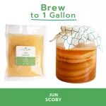 Organic Jun SCOBY & Culture Starter 200 ml. สโคบี้หัวเชื้อ สำหรับหมักชา ชาหมัก จุนคอมบูชะ พร้อมน้ำตั้งต้น ออร์แกนิคแท้ 100%
