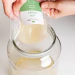 Organic Jun SCOBY & Culture Starter 200 ml. สโคบี้หัวเชื้อ สำหรับหมักชา ชาหมัก จุนคอมบูชะ พร้อมน้ำตั้งต้น ออร์แกนิคแท้ 100%