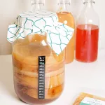 สโคบี้หัวเชื้อ สำหรับหมักชา ชาหมัก คอมบูชา พร้อมน้ำตั้งต้น ออร์แกนิคแท้ 100%