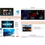 TCL32 inch 43S66A Digital FullHD Smart Android Bulthah HDR Wifi+LAN+USB+HDMI+AV+DVD Pal+NTSC PM2.5 Free Air purifier