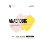 Special roasted coffee, AGAPE SAMPLE ROAST AREREROBIC